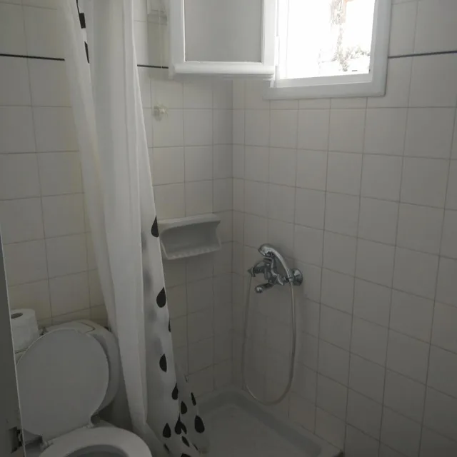 1 Bedroom, Apartment, Dolphins Apartments 6/6