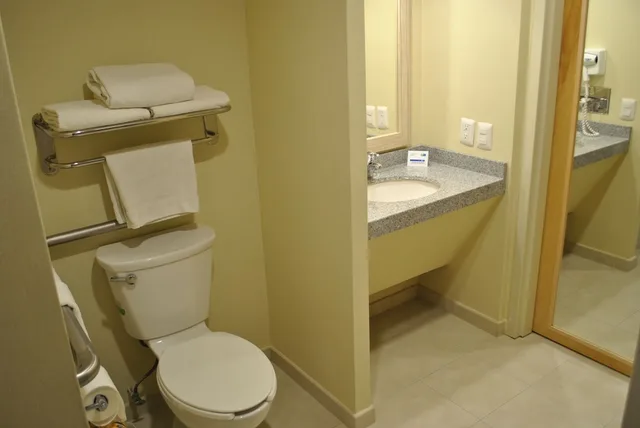 غرفة قياسية بسرير مزدوج، Holiday Inn Express Toluca 7/7