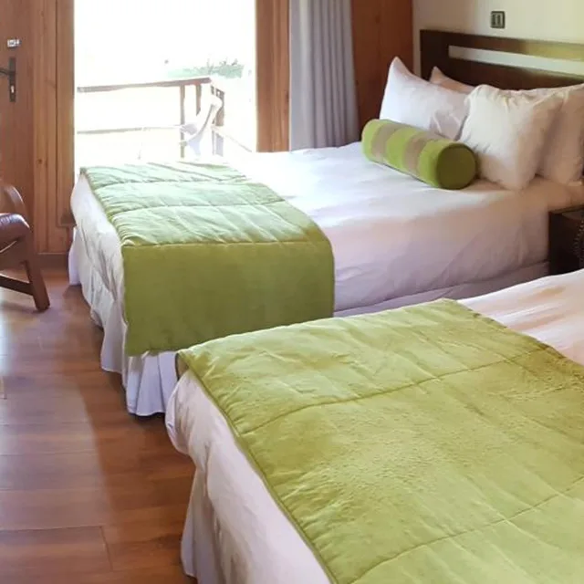 Hotel y Cabanas Las Mellizas - Caja Los Andes، Los Angeles 5/41
