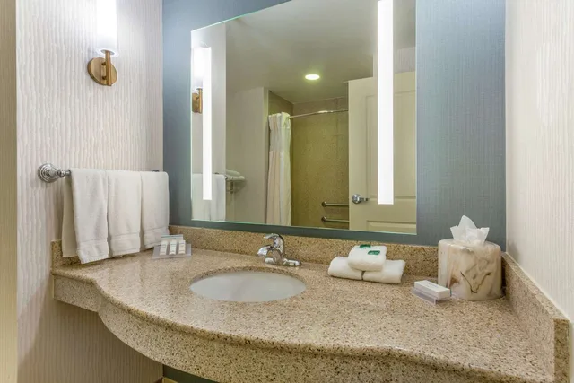 غرفة بسرير كينج بحوض استحمام لذوي الإعاقة، Hilton Garden Inn Indianapolis Downtown 2/5