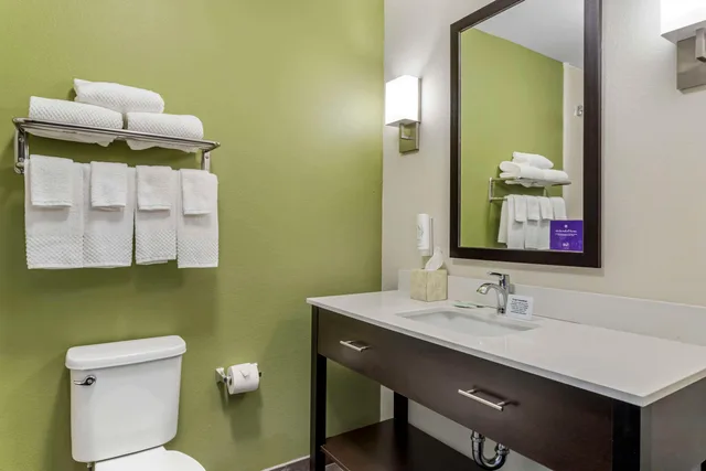 Efficiency, King Bed، Sleep Inn & Suites Liberty TX 3/3