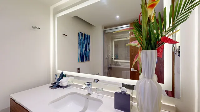 1 Bedroom, Diamond Club, Presidential, Luxury, Suite, Ocean View، Royalton Grenada, an Autograph Collection All-Inclusive Resort 9/9