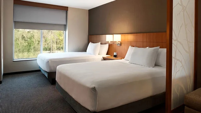غرفة ديلوكس بسريرين كوين مع أريكة، Hyatt Place Houston / The Woodlands 2/10