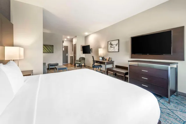 جناح بسرير كينج، Comfort Inn & Suites Clarksville - Louisville North 1/4