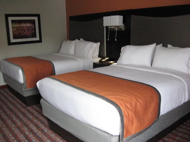 غرفة قياسية بسرير مزدوج، Holiday Inn Express & Suites NASHVILLE SOUTHEAST - ANTIOCH 2/3