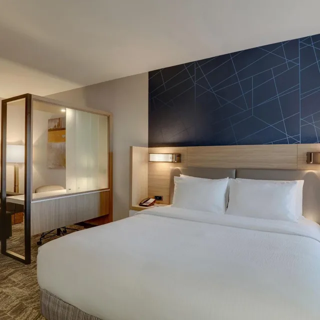 Room, King Bed, Trundle Bed, Sofa, Bathtub, Accessible, SpringHill Suites by Marriott Cheraw 1/7