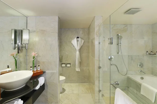 Regency, Suite, Terrace، Hyatt Regency Delhi 5/5