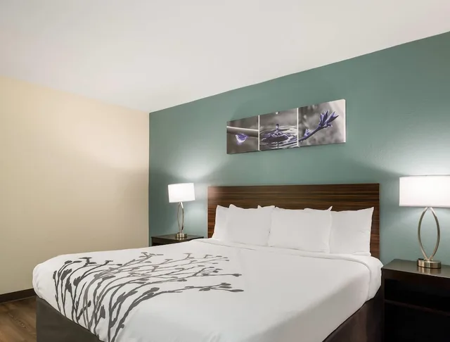 غرفة قياسية بسرير كينج، Sleep Inn Savannah Midtown 3/4