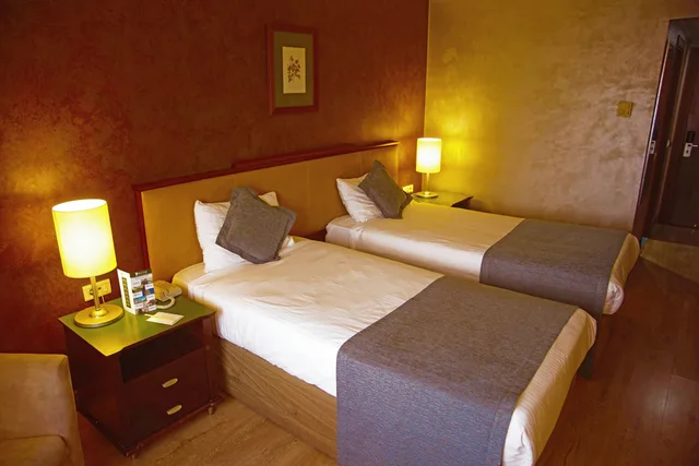 Standard, Double Bed, The Green Park Merter 3/3