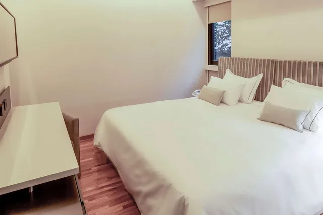 Concept, Double Bed, Accessible، Esplendor By Wyndham Buenos Aires Tango 2/5