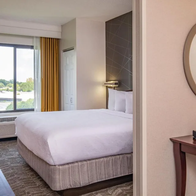 جناح بسرير كينج مع سرير سحّاب إضافي مع أريكة بحوض استحمام لذوي الإعاقة، Springhill Suites Norfolk Virginia Beach 1/9