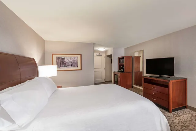 Evolution, King Bed، Hilton Garden Inn Blacksburg University 1/3