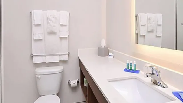 غرفة قياسية بسرير فردي، Holiday Inn Express Hotel And Suites La Place 1/1