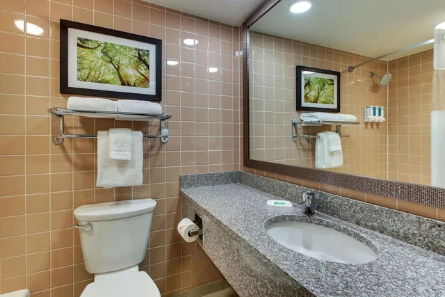 Room, King Bed, Pear Tree Inn St Louis Arnold 5/7