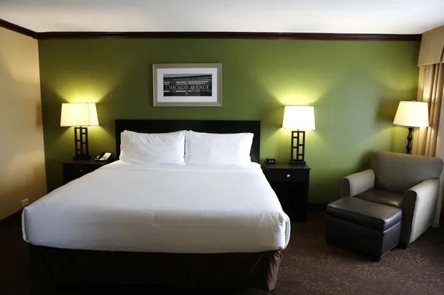 جناح بسرير كينج، HOLIDAY INN CHICAGO OAKBROOK 1/4