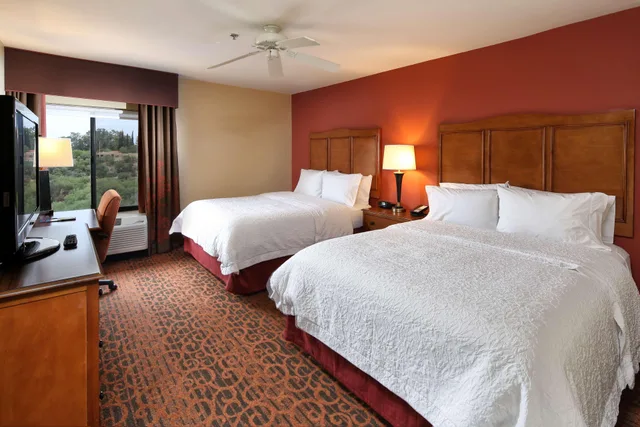 جناح بغرفة نوم واحدة، Hampton Inn and Suites Tucson Mall 1/2