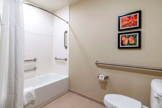 جناح بسريرين كوين لذوي الإعاقة، Comfort Suites Newnan GA 3/3