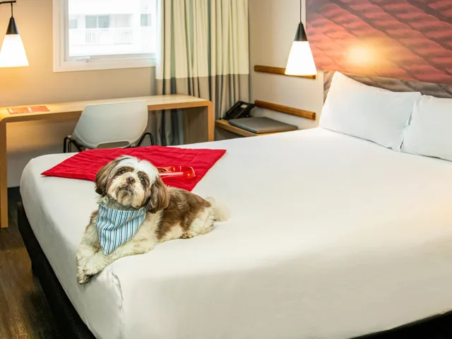 غرفة بسرير مزدوج، Ibis Sao Paulo Tatuape 2/8