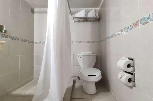 غرفة سوبيريور بسرير كينج، Collection O Hotel Del Portal, Puebla 9/9