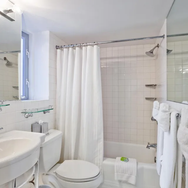 Plaza, Deluxe, Suite, King Bed, Accessible، State Plaza Hotel 3/3