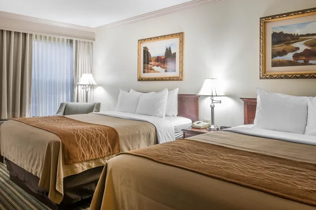 غرفة قياسية بسريرين كوين يُسمح فيها بالحيوانات الأليفة، Comfort Inn Plainwell, MI 2/5