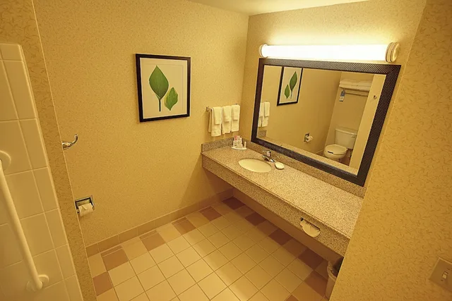 غرفة بسرير كينج لذوي الإعاقة، Fairfield Inn Suites By Marriott Mt Vernon Rend Lake 3/3