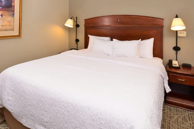 غرفة بسرير كينج، Hampton Inn Litchfield 1/4