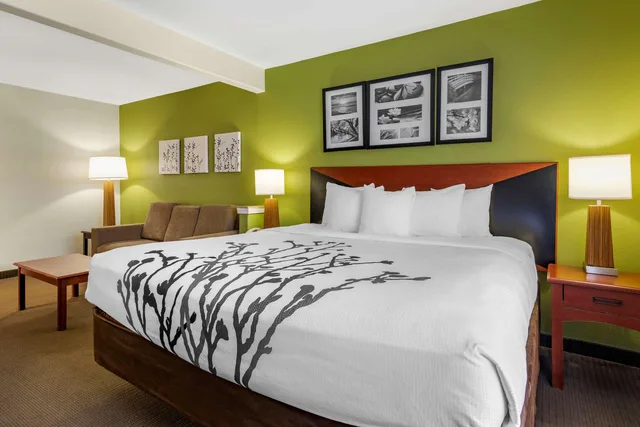 جناح بسرير كينج، Sleep Inn & Suites Stockbridge Atlanta South 1/5