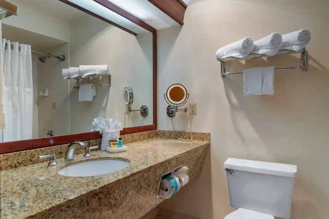 غرفة قياسية كبيرة بسرير كينج، Best Western Plus Mill Creek Inn 4/7