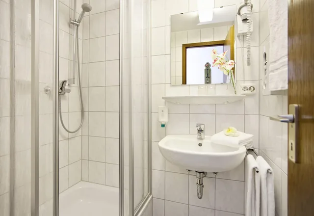 غرفة قياسية بسرير مزدوج، Hahn Hotel 4/4