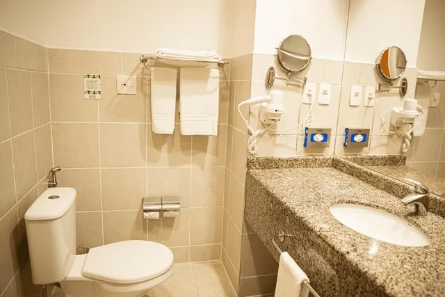 Classic Double Bed, Holiday Inn Manaus 4/4
