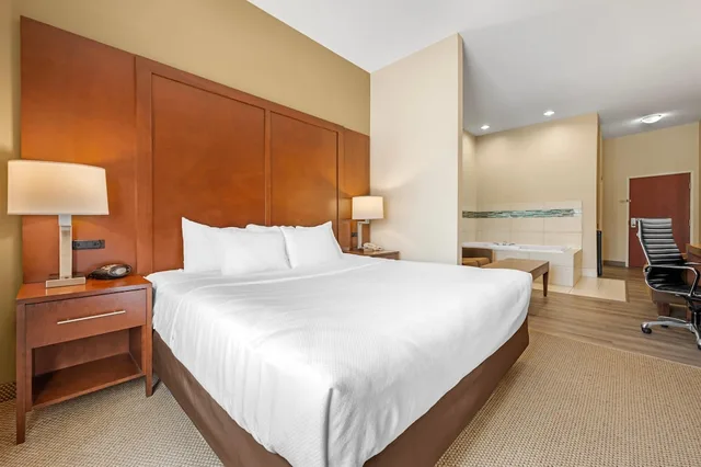 جناح بسرير كينج مع أريكة بحوض جاكوزي، Comfort Suites South Bend Near Casino 5/8