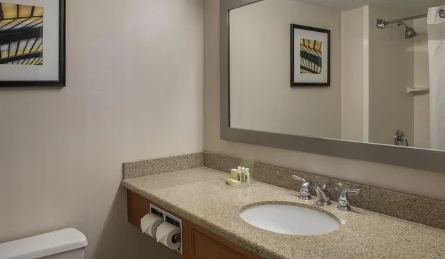 Room, King Bed, Holiday Inn Winnipeg South 3/4