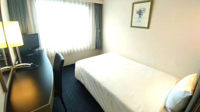 غرفة ديلوكس مفردة، Grand Central Hotel 3/3