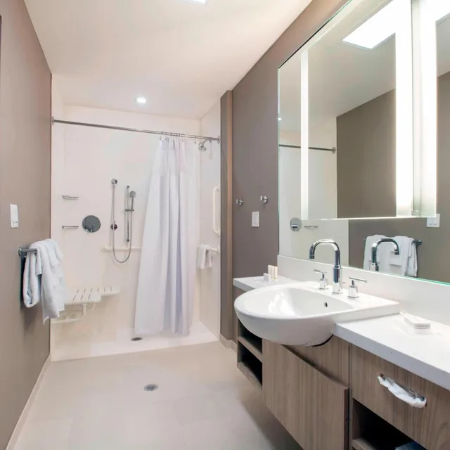 جناح بسرير كينج مع سرير سحّاب إضافي مع أريكة لذوي الإعاقة، Springhill Suites By Marriott Miami Doral 3/3