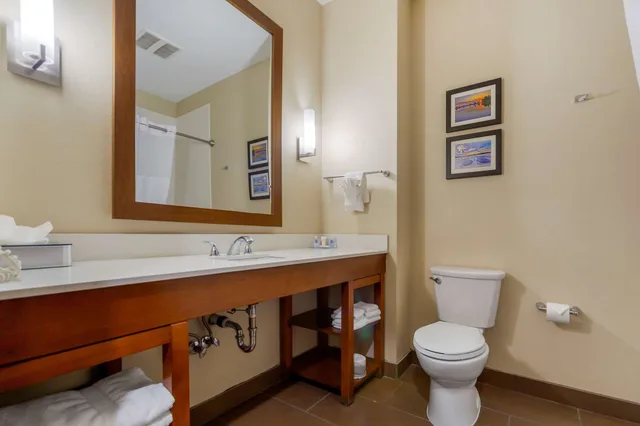 جناح بسريرين كوين مع أريكة، Comfort Suites La Vista - Omaha 3/3