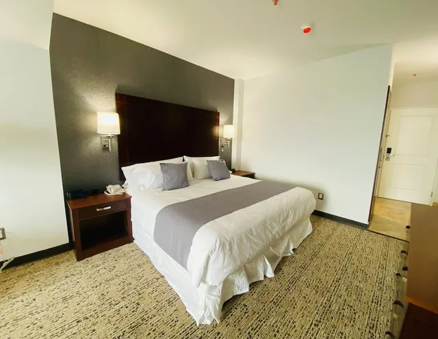 جناح جونيور بسرير كينج، La Quinta by Wyndham Reynosa 6/9