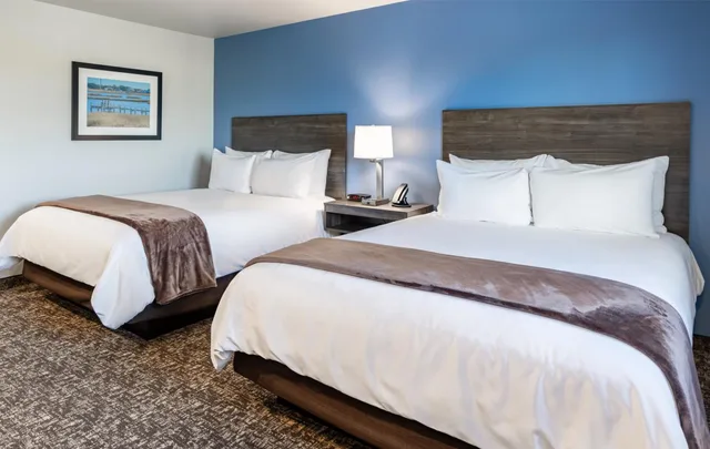 غرفة قياسية بسريرين كوين، Sonesta Simply Suites Avondale 1/10