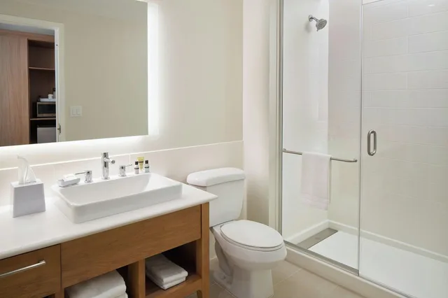 غرفة بسرير كينج لذوي الإعاقة، Element Orlando International Drive 4/5