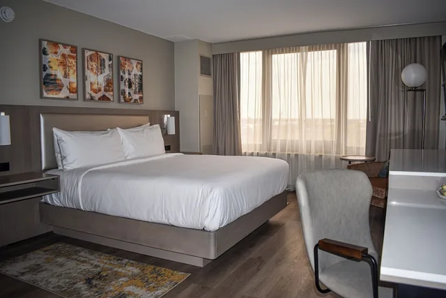 Renovated, King Bed، Doubletree By Hilton Chicago Oak Brook 3/8