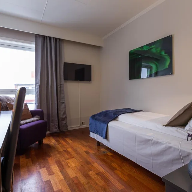 غرفة مفردة، Enter Viking Apartment 3/8