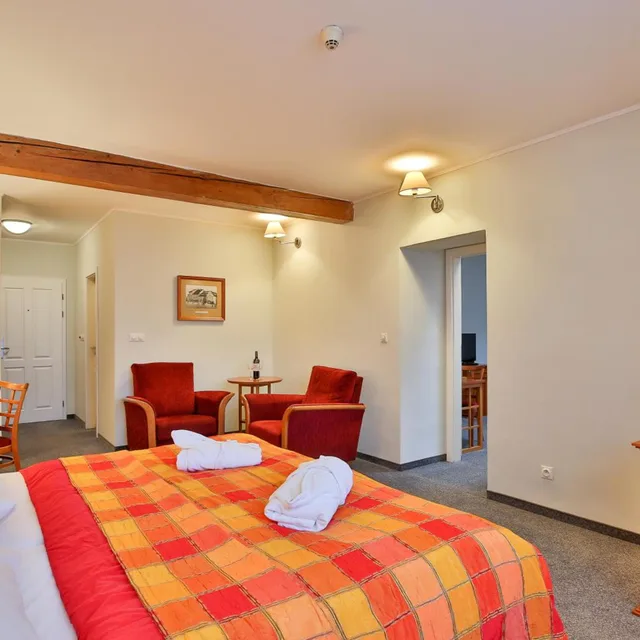 Superior, Family, Hotel Dvorak Tabor 7/10