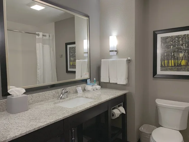 جناح بسرير كينج بغرفة نوم واحدة مع أريكة بمنطقة جلوس، Holiday Inn Express Suites Madison Central 2/2