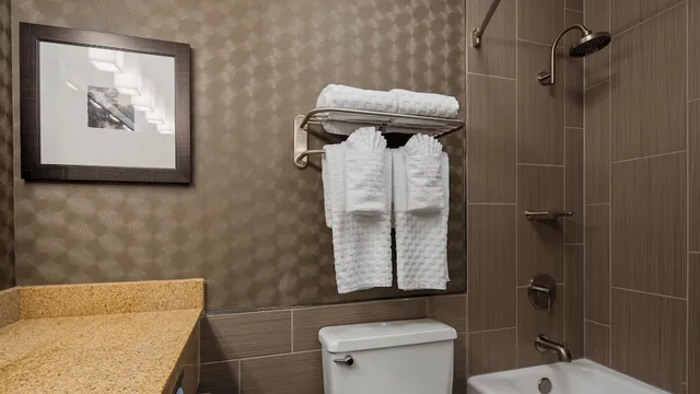 غرفة ديلوكس بسرير كينج مع أريكة، Best Western Premier Airport/Expo Center Hotel 8/8