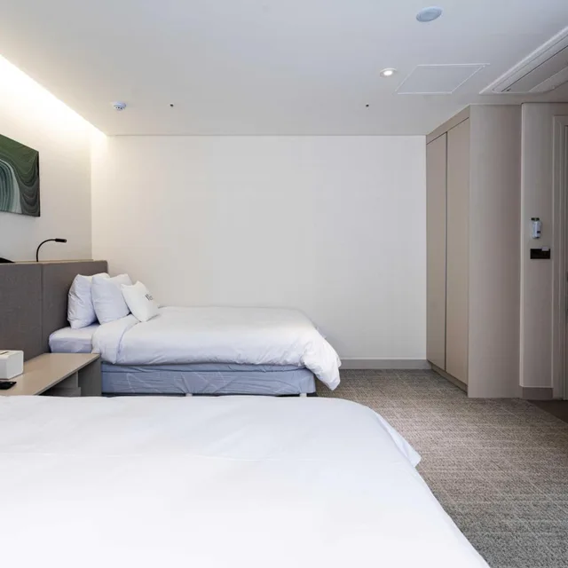 غرفة ديلوكس عائلية، Hotel Vert 1/4