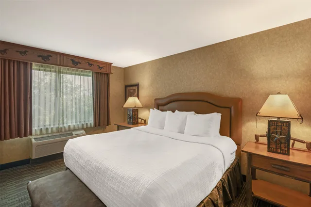 Alamo, Theme, Suite, King Bed, Sofa, Jetted Tub، Best Western Plus Kelly Inn and Suites 2/4