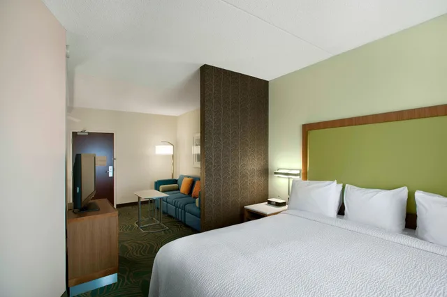 استوديو بسرير كينج مع أريكة، Springhill Suites Phoenix Tempe Airport 1/10