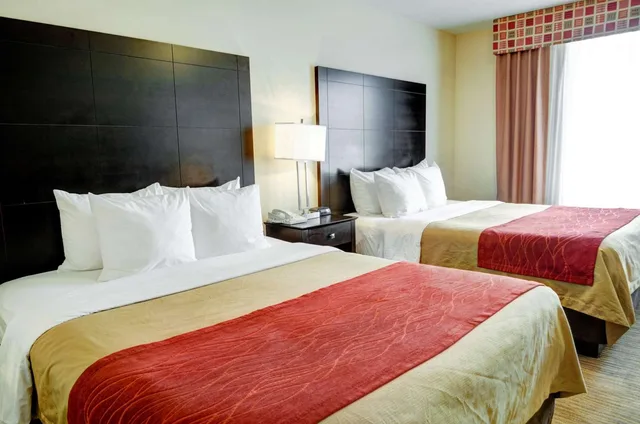 جناح بسريرين كوين، Comfort Inn & Suites Amarillo West Near Medical Center 1/1