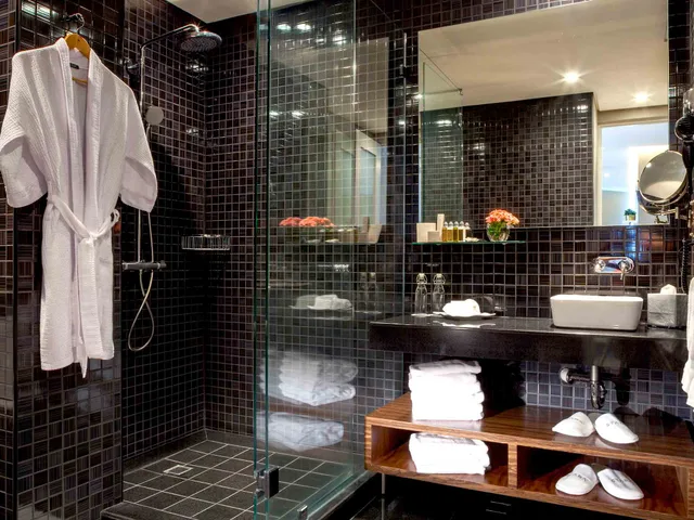 Junior Suite, Capitalia ApartHotel San Angel Inn 3/3