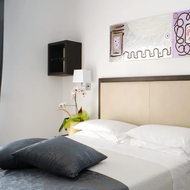 غرفة سوبيريور بسرير مزدوج أو سريرين منفصلين، Hotel Ambassador 5/6